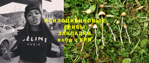 дмт Арсеньев