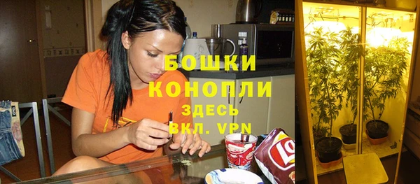 дмт Арсеньев