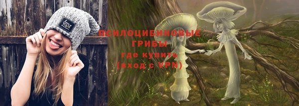 дмт Арсеньев